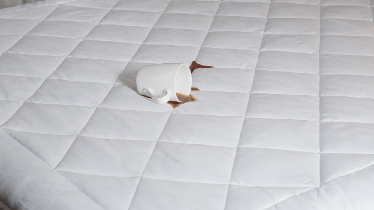 Clean Rest Plush Quilted Mattress Protector
